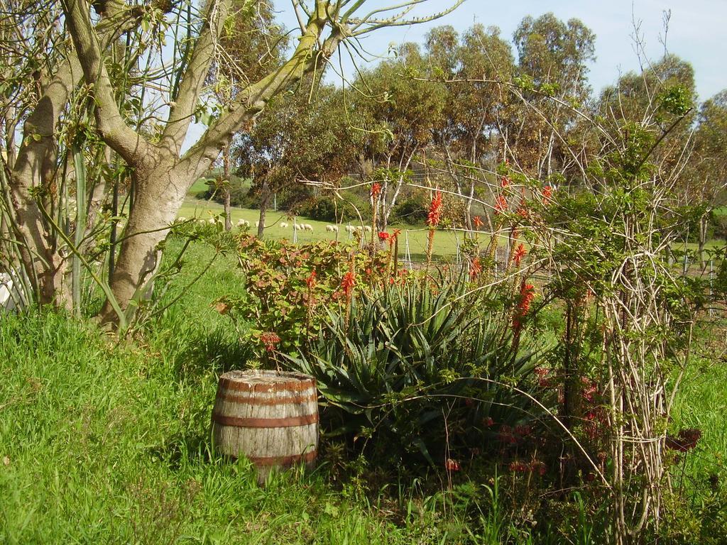 Agriturismo Cuile De Molino Porto Torres Buitenkant foto