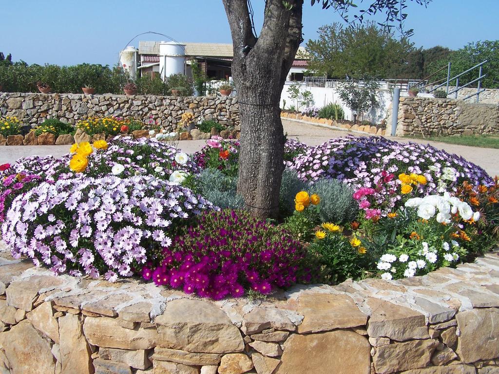 Agriturismo Cuile De Molino Porto Torres Buitenkant foto