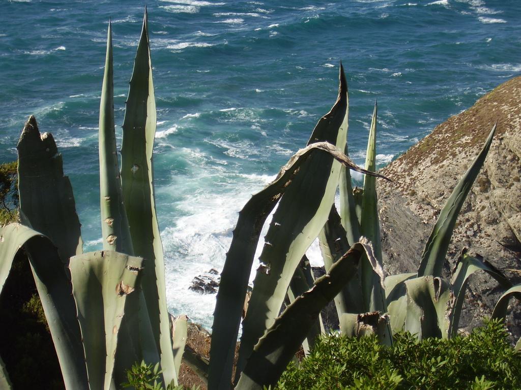 Agriturismo Cuile De Molino Porto Torres Buitenkant foto